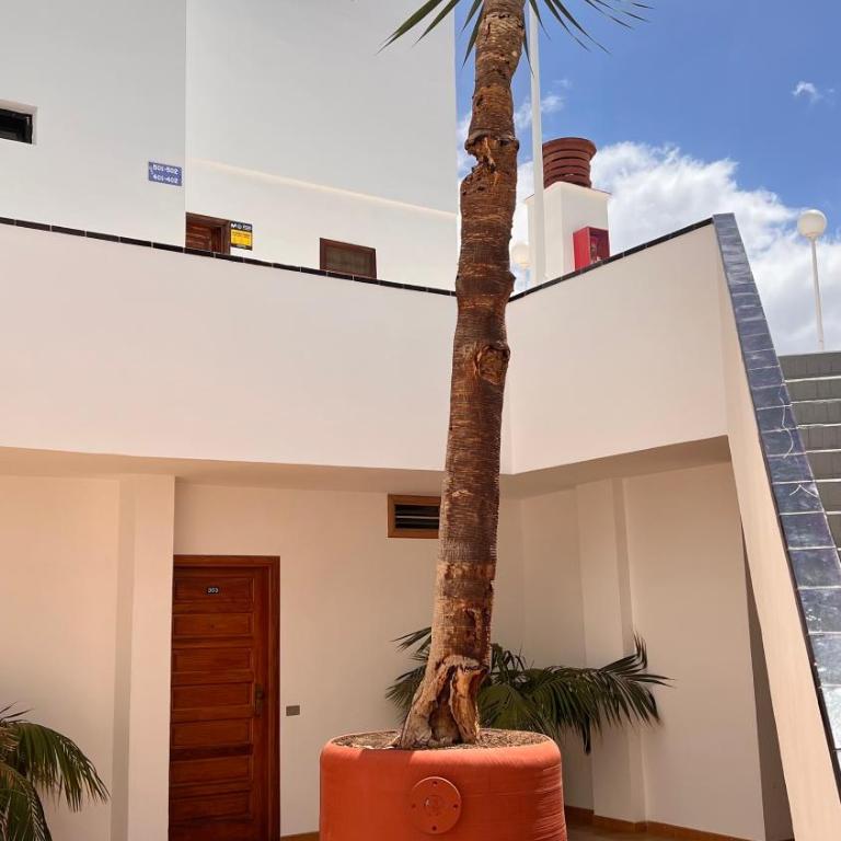 Balcon de Chayofita - Apartamento de 3 dormitorios - 42