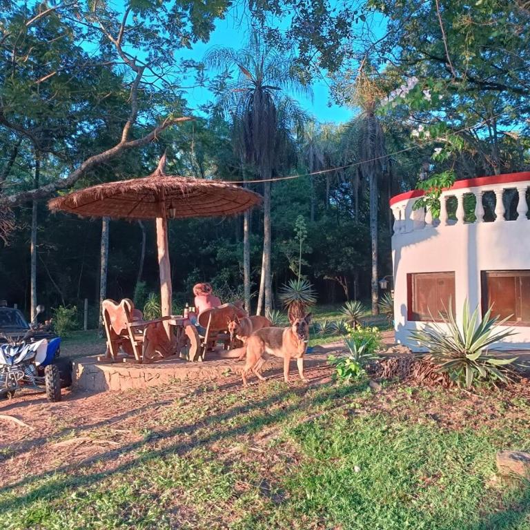Ferienhaus Rustico - Casa con 1 dormitorio - 7