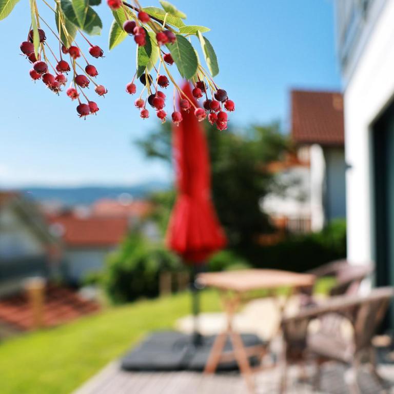 Wohlfühl-Alpenblick Apartments - Apartment mit 1 Schlafzimmer - 31