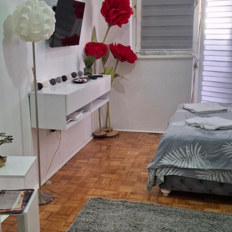 AIK Kula studio - Apartman sa 1 Spavaćom Sobom - 1