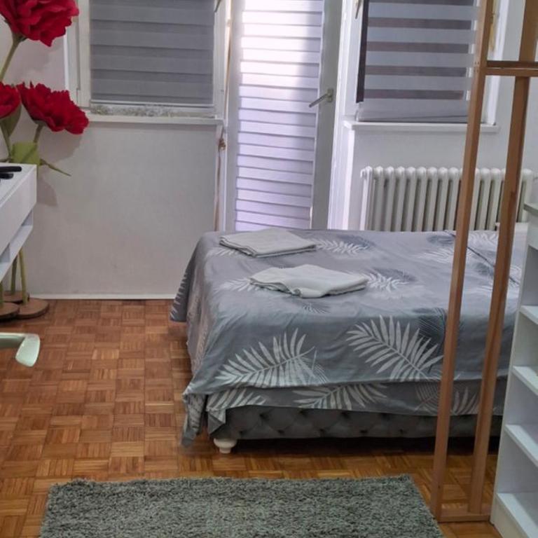 AIK Kula studio - Apartman sa 1 Spavaćom Sobom - 13