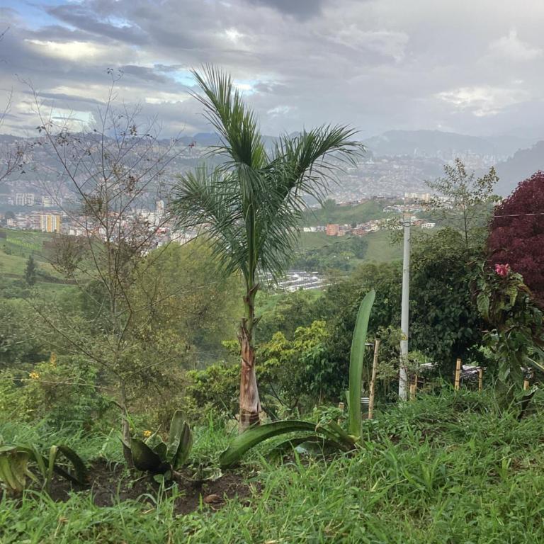 Las Hamacas Mountain Hostal zona de camping - Tent - 9
