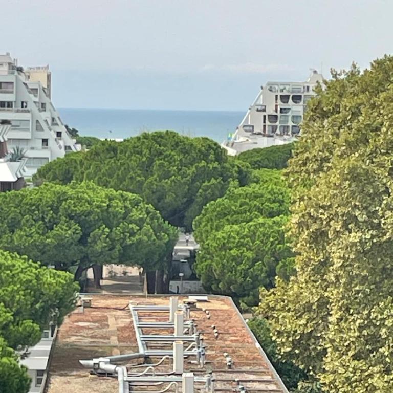 Vue panoramique pour ce grand studio en centre ville - Deluxe Studio - 5
