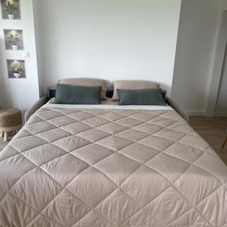 Vue panoramique pour ce grand studio en centre ville - Deluxe Studio - 21