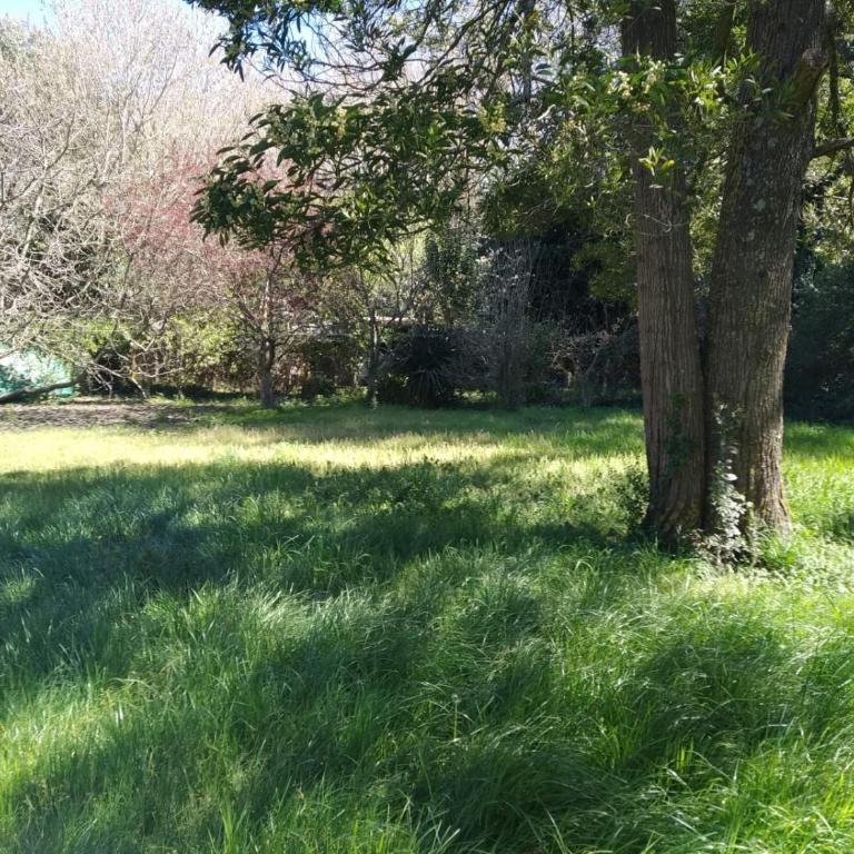 Yayta - Casa de 4 dormitorios - 6