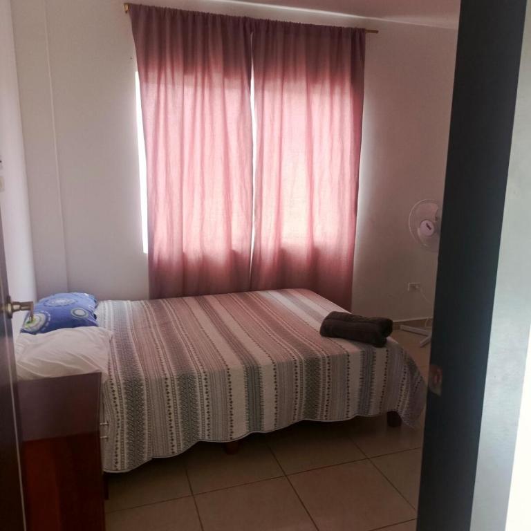 Urbanización Ceibo Real - Casa de 3 dormitorios - 7