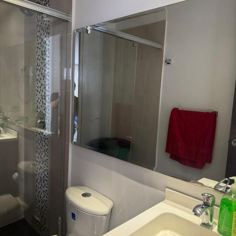 Espectacular Apto con parq propio Villavicencio - Two-Bedroom Apartment - 4