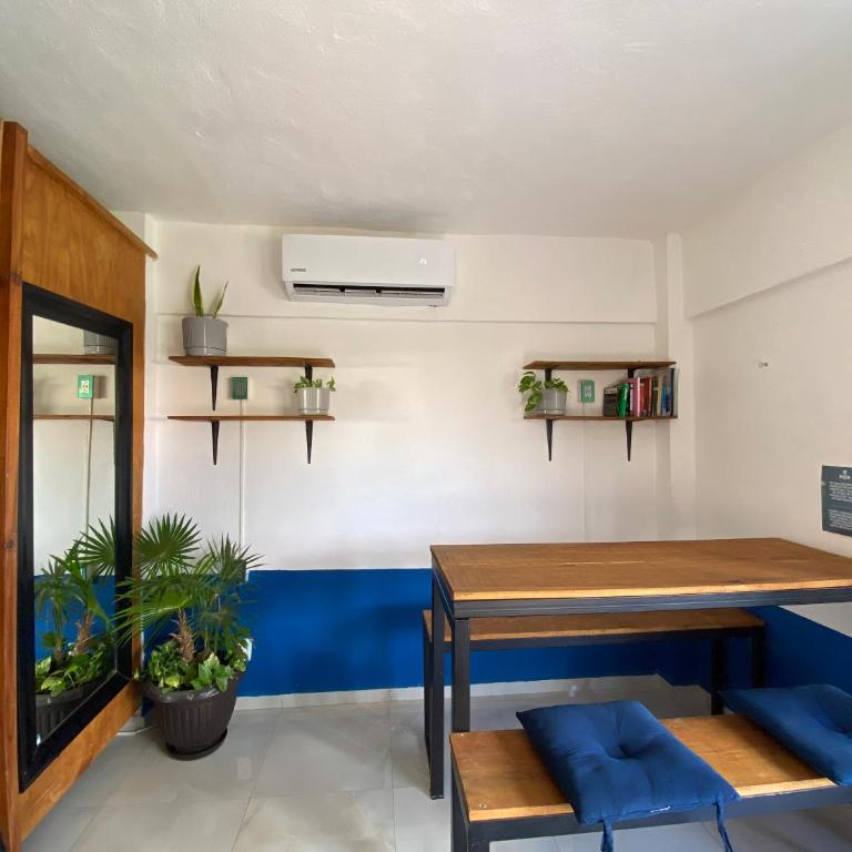 Maui Hostels Playa del Carmen - Bed in 14-Bed Mixed Dormitory Room - 4