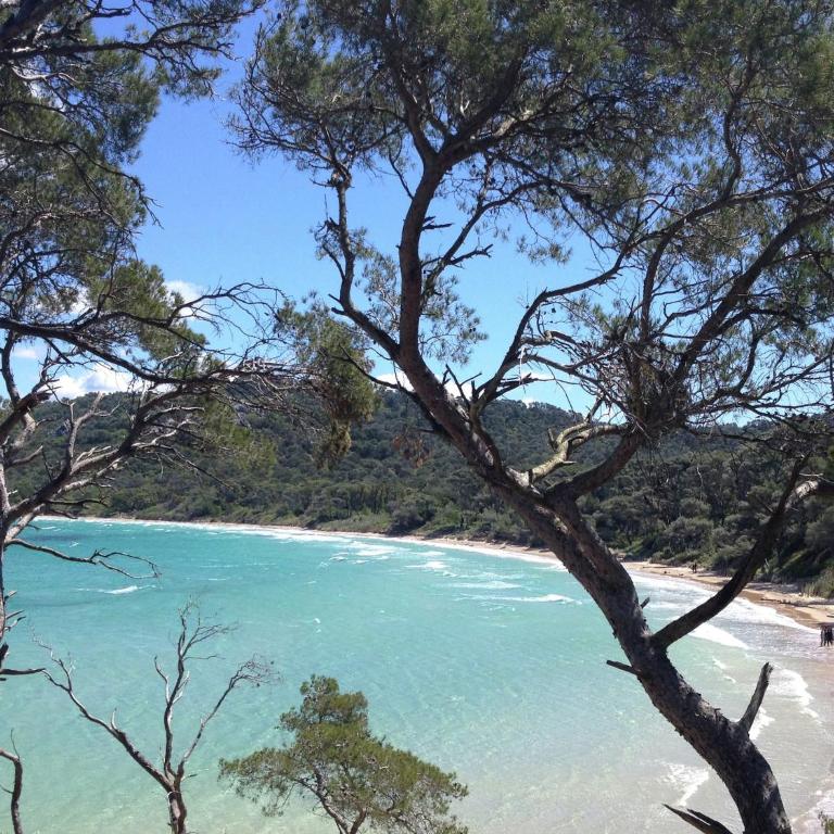 Holiday Home in Carqueiranne by the Sea - Maison de Vacances 2 Chambres - 24