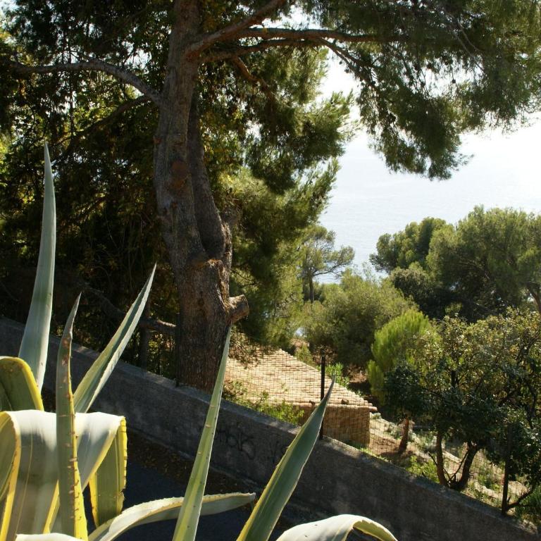 Holiday Home in Carqueiranne by the Sea - Maison de Vacances 2 Chambres - 19