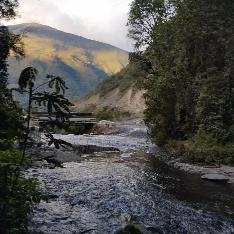 Glamping Machupicchu Lodge - Deluxe King Room - 22