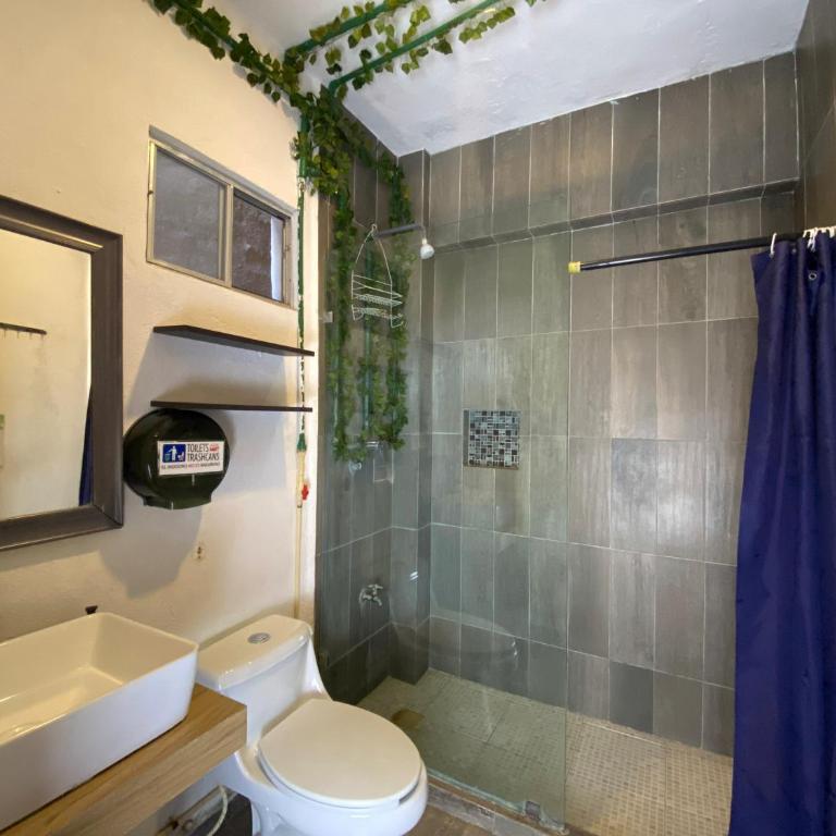 Maui Hostels Playa del Carmen - Single Bed in 11-Bed Mixed Dormitory Room - 8