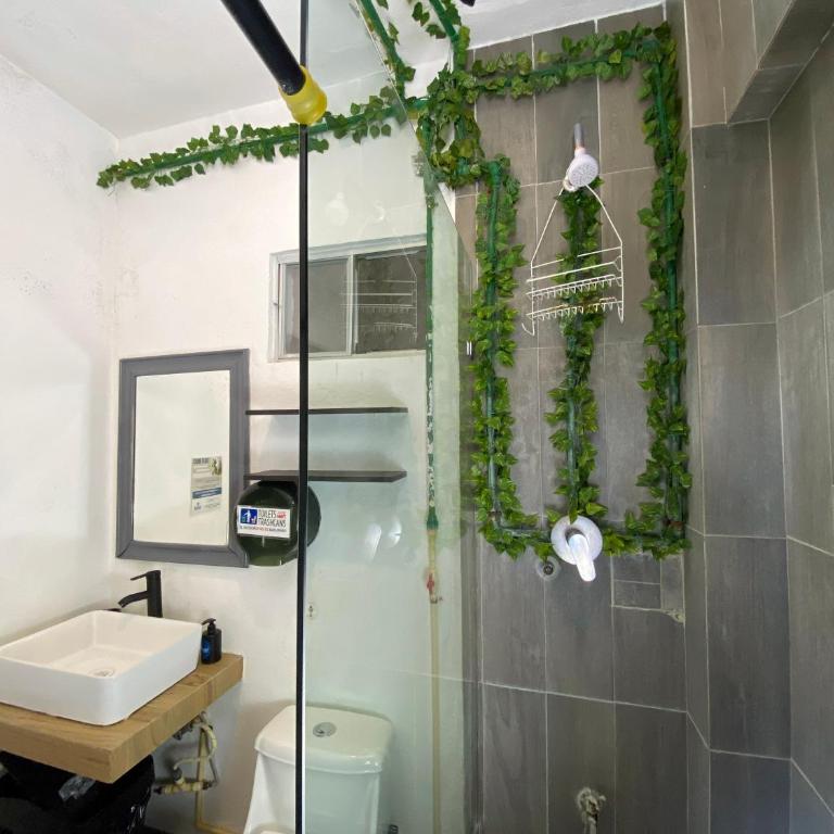 Maui Hostels Playa del Carmen - Single Bed in 11-Bed Mixed Dormitory Room - 6