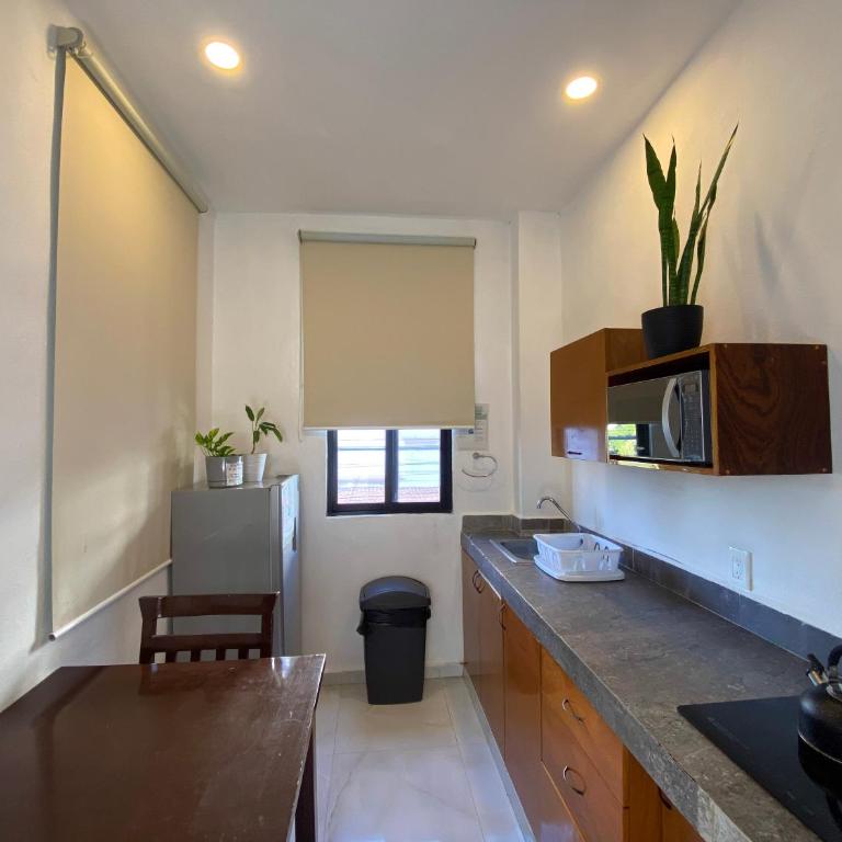 Maui Hostels Playa del Carmen - Single Bed in 11-Bed Mixed Dormitory Room - 4