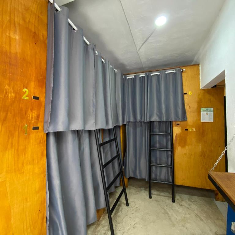 Maui Hostels Playa del Carmen - Single Bed in 11-Bed Mixed Dormitory Room - 5