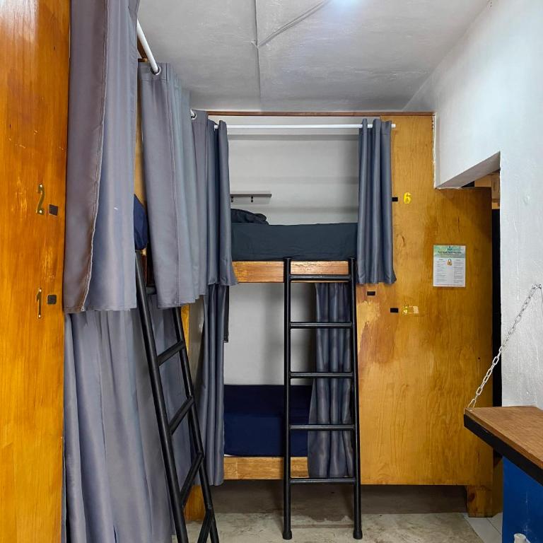 Maui Hostels Playa del Carmen - Single Bed in 11-Bed Mixed Dormitory Room - 1