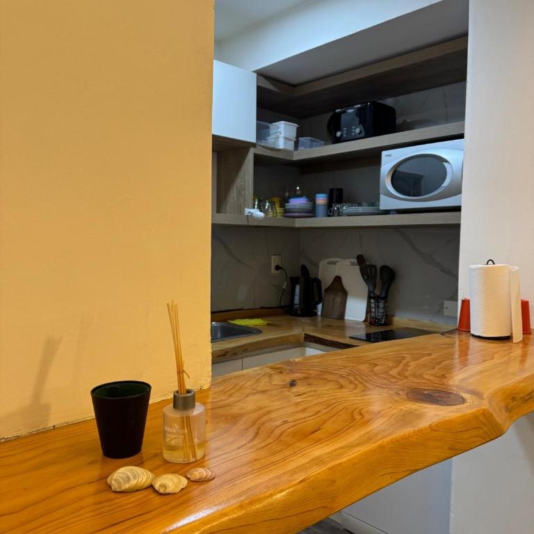 Mar del Plata Department - - One-Bedroom Apartment - 16