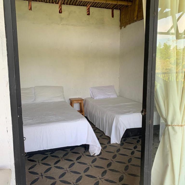 Eco Finca El Guadual - casa completa - Casa con 1 dormitorio - 12