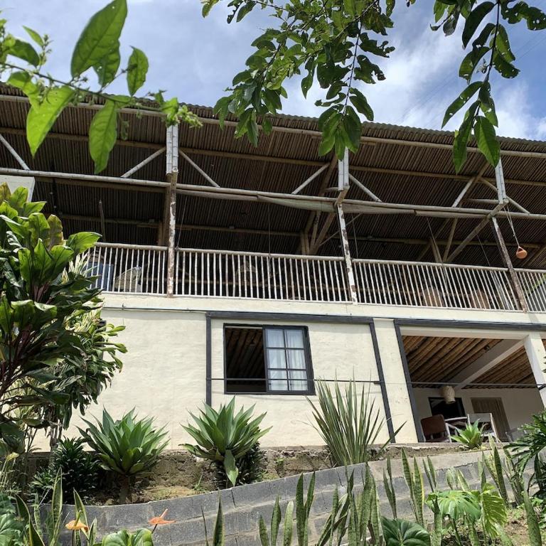 Eco Finca El Guadual - casa completa - Casa con 1 dormitorio - 28