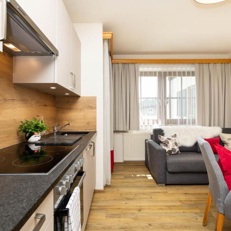 Pension Kreuzer - One-Bedroom Apartment with Balcony - 2