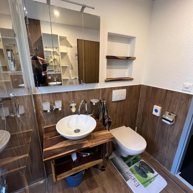 Leukerbad TOP, Thermalquellen, Skigebiet - Appartement 1 Chambre avec Balcon - 17