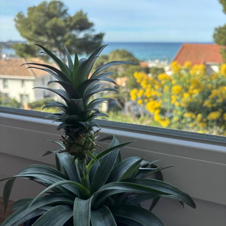Magnifique Duplex - jardin - vue mer Plage et Sanary à pied - One-Bedroom Apartment - 10