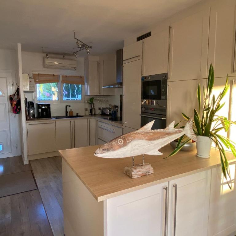 Magnifique Duplex - jardin - vue mer Plage et Sanary à pied - One-Bedroom Apartment - 14