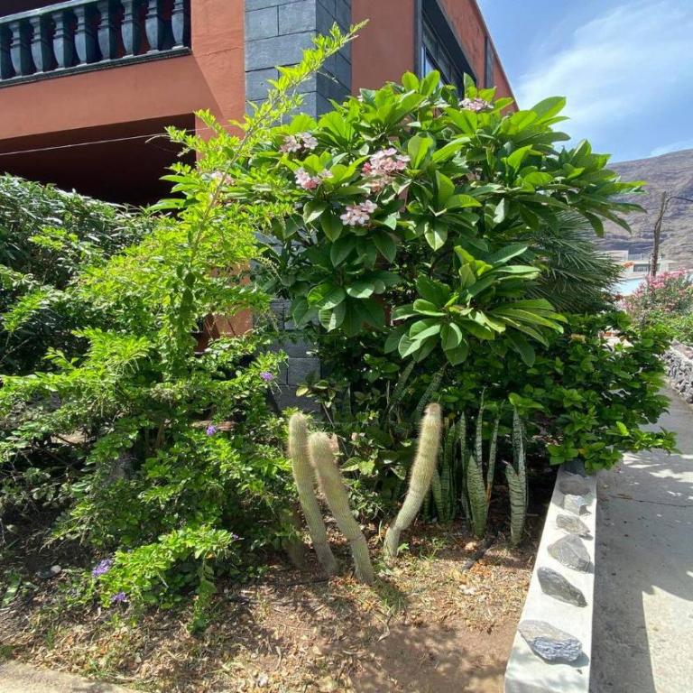 Yuremar La Puntilla Atico - Apartamento de 2 dormitorios - 59