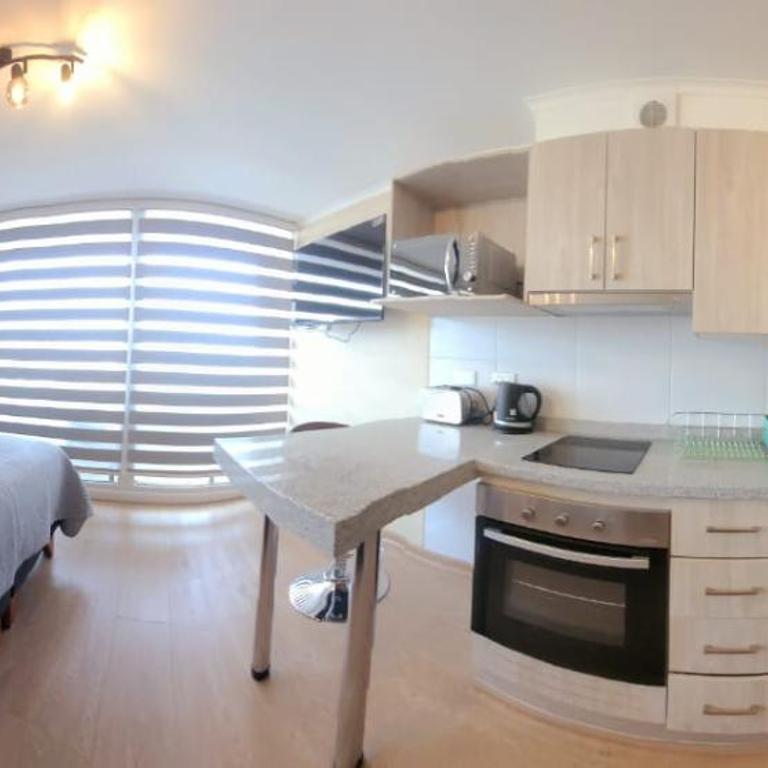 Dpto Chillán x dia 1613 - One-Bedroom Apartment - 1