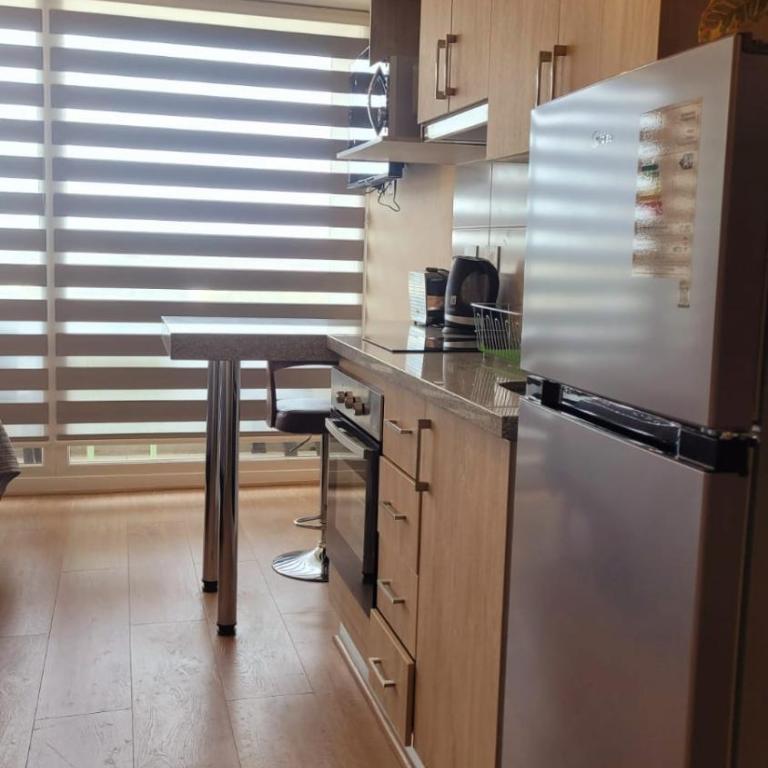 Dpto Chillán x dia 1613 - One-Bedroom Apartment - 4