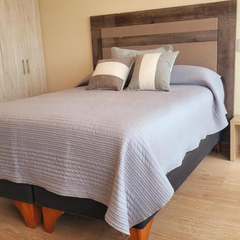 Dpto Chillán x dia 1613 - One-Bedroom Apartment - 5