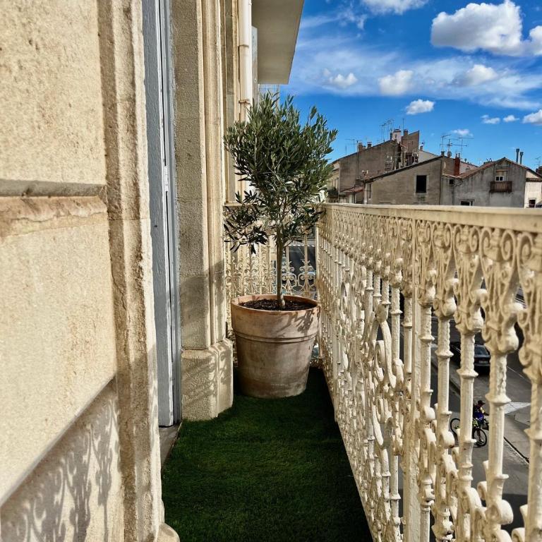 Vigne et mer-Spacieux Appartement Haussmannien-2chambres-Wifi - Appartement 2 Chambres - 2