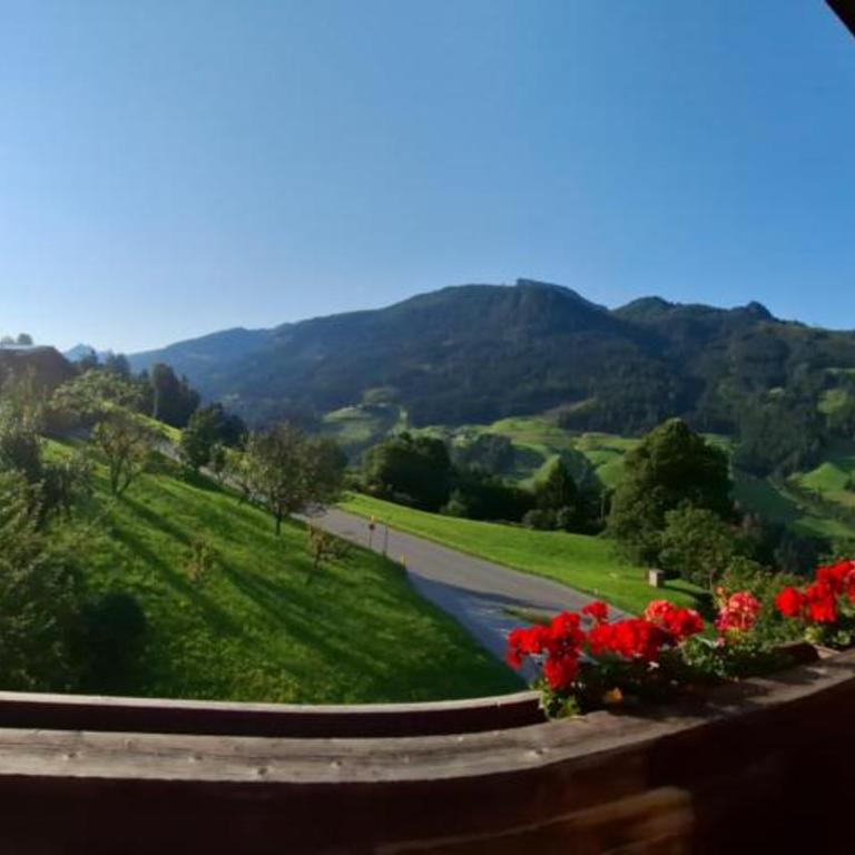 Haus Panorama - Apartment mit Balkon - 3