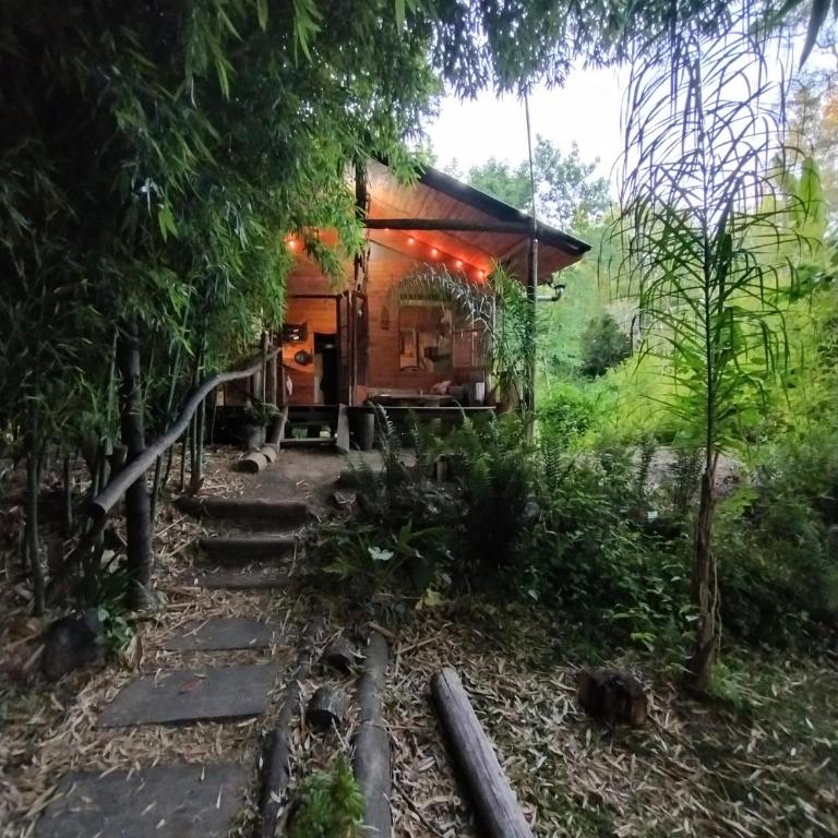 Cabañas ohana - Bungalow Familiar - 6