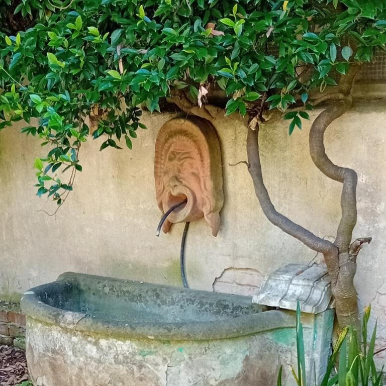 Stella House in the heart of ancient Florence - Appartamento con 2 Camere da Letto - 21