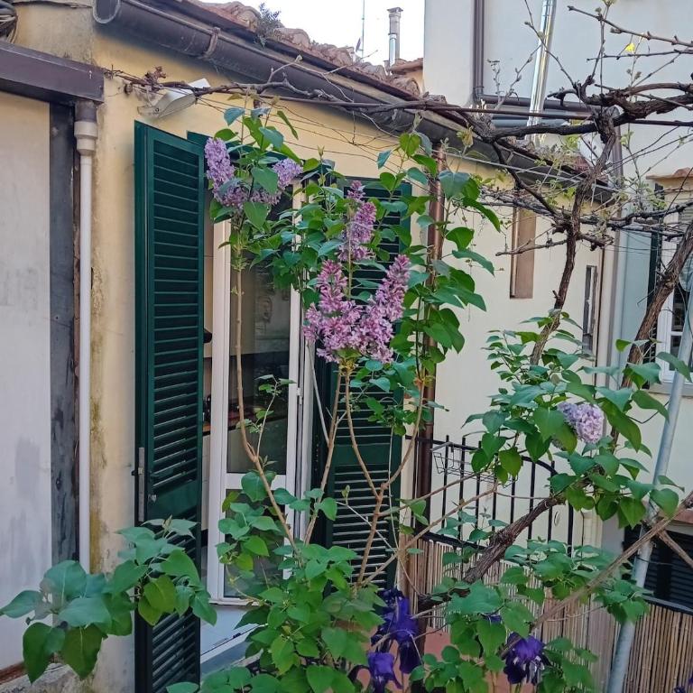 Stella House in the heart of ancient Florence - Appartamento con 2 Camere da Letto - 24