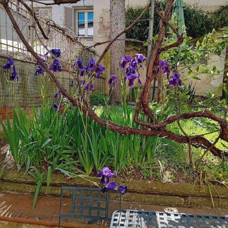 Stella House in the heart of ancient Florence - Appartamento con 2 Camere da Letto - 26