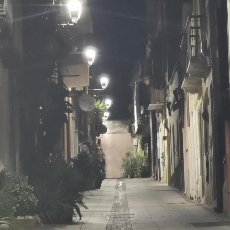 Cagliari Alloggio Privato Agrifoglio - Appartamento - Piano Terra - 17