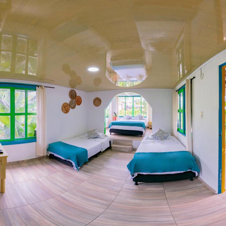 Eco Hotel las Palmas - Habitación cuádruple - 11