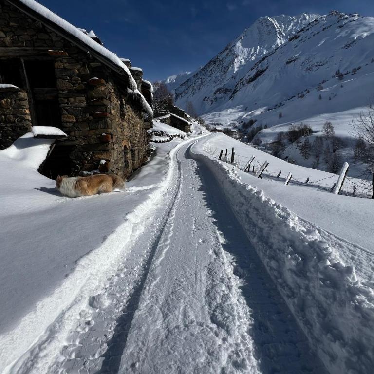 Chambres d'hôtes de Montagne "les 3 Evéchés" - Chalet - 7