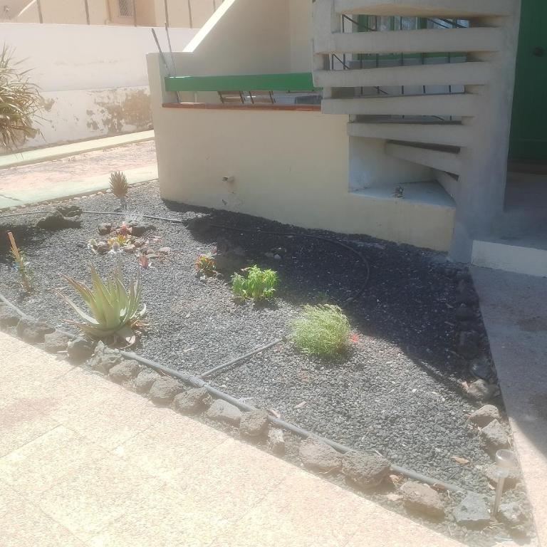 Casa Ventura Complejo Bouganville - Apartamento de 1 dormitorio - 10