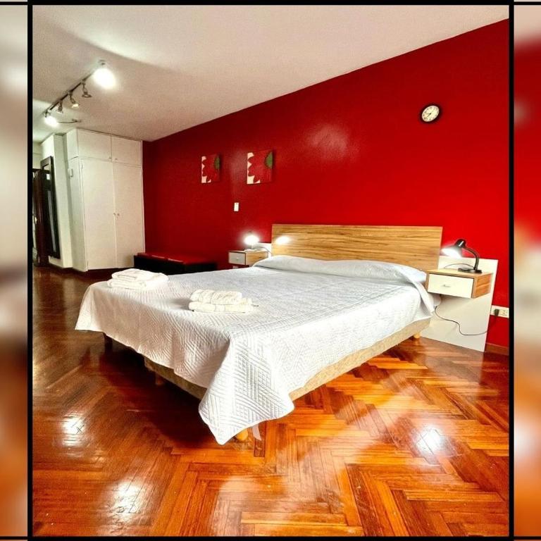 Gran Monoambiente en microcentro de Buenos Aires 1C - Apartamento de 1 dormitorio - 1