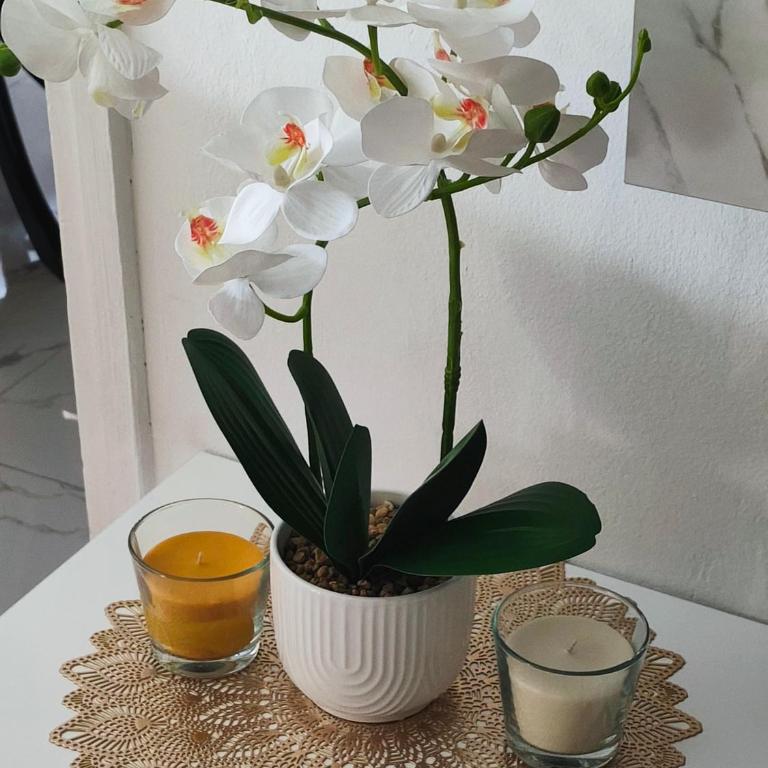 Apartman Sweet Home Free parking - Apartman sa 1 Spavaćom Sobom - 16