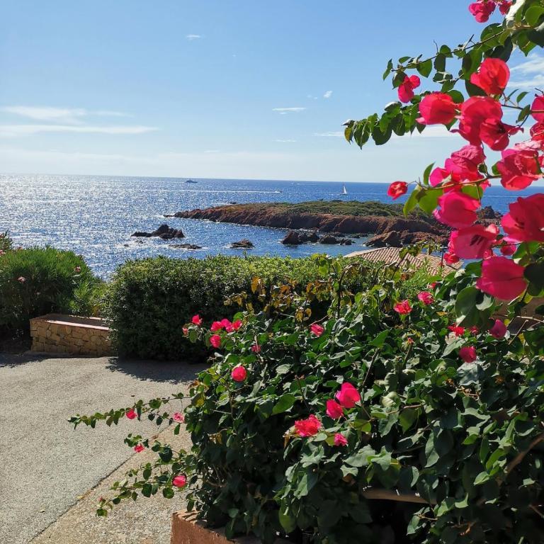 La Mer Veille - Appartement 2 Chambres - 3