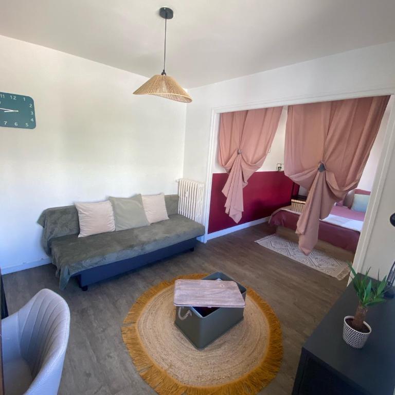 Aparte zénith parking gratuit - Appartement 1 Chambre - 10