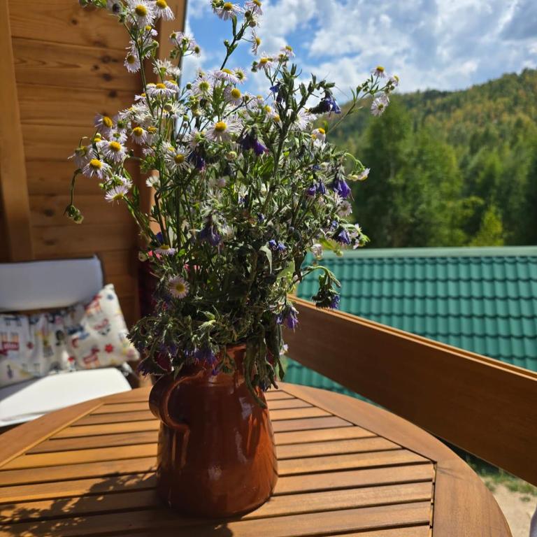 White Forest Durmitor 2 - Two-Bedroom Villa - 48