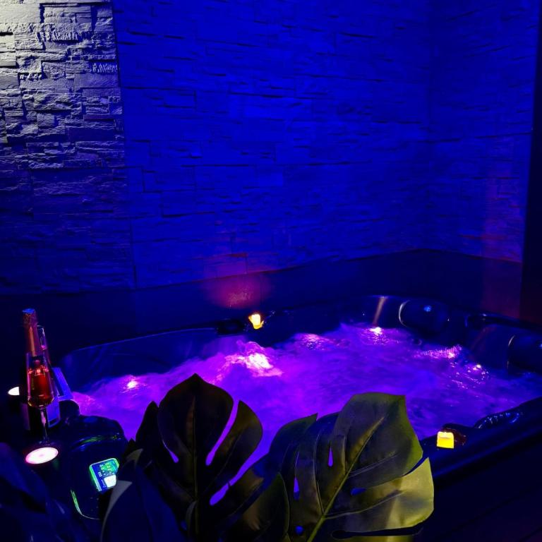 La Parenthèse - Jacuzzi - Hyper-Centre - Appartement 1 Chambre - 24