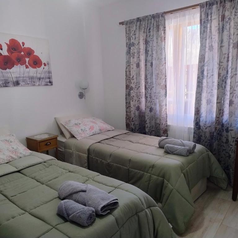 Apart Ruta 40 - Apartamento Deluxe - 3
