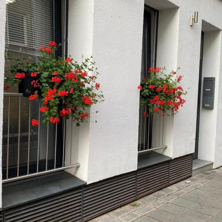 City Nowa 1 - Apartment mit 1 Schlafzimmer - 7