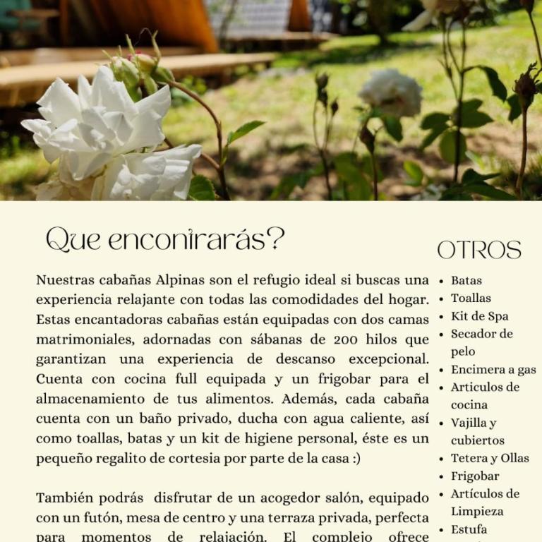 Ecos del Manantial - Chalet - 31